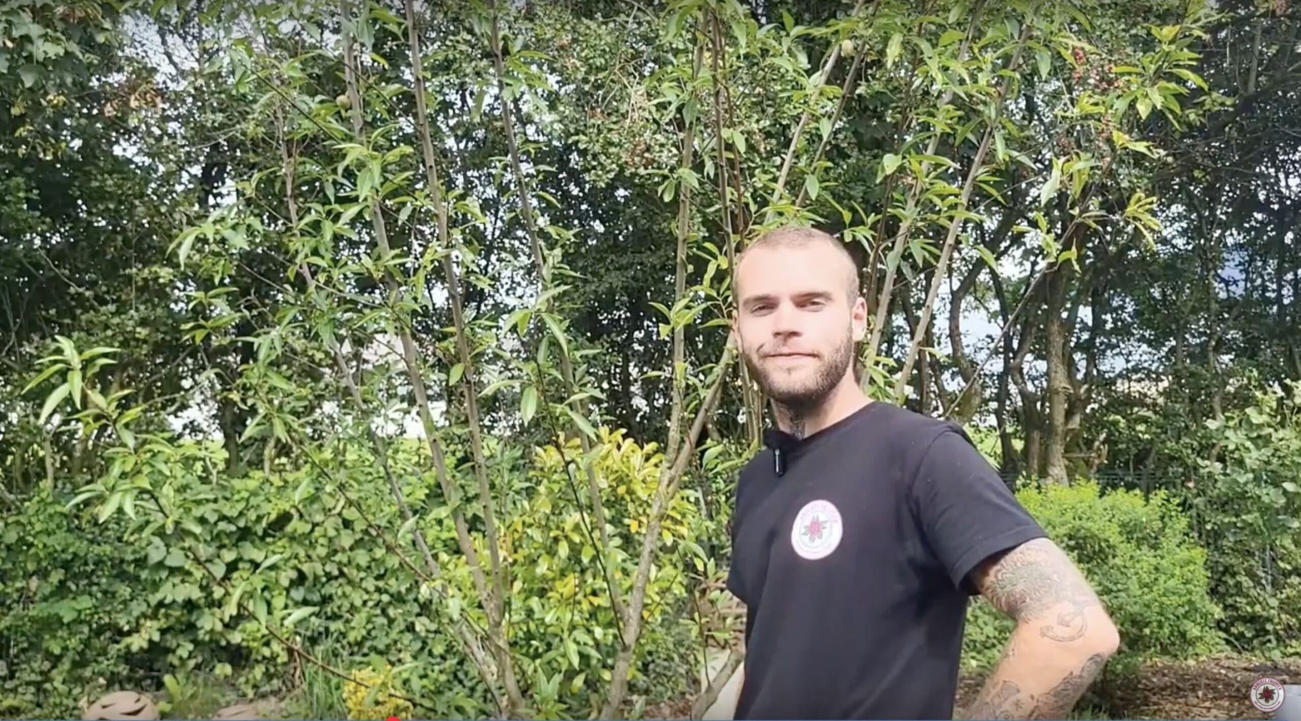 Forêt Coméstible Spontannée et Verger Sec