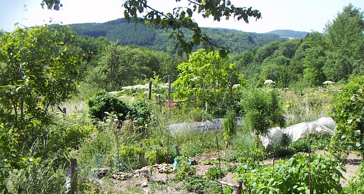 Le Jardin Permacole de Nicolas Pezeril