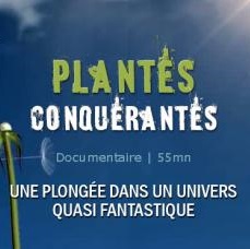 Nature Invisible - Plantes Conquerantes