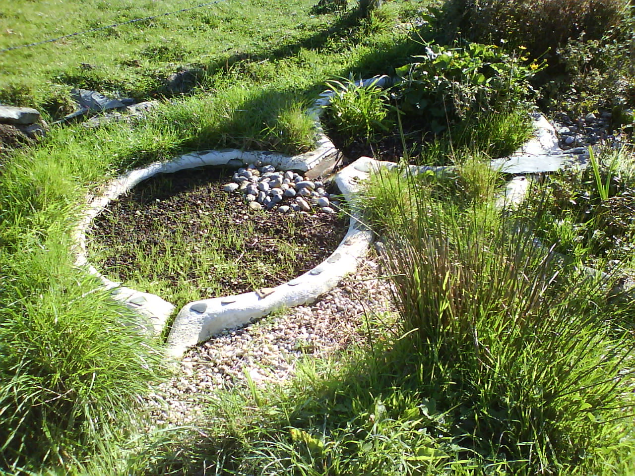 PhytoEpuration