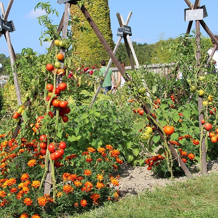 Ferme d'Avenir