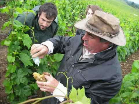 Etude des Sols - Claude et Lydia Bourguignon