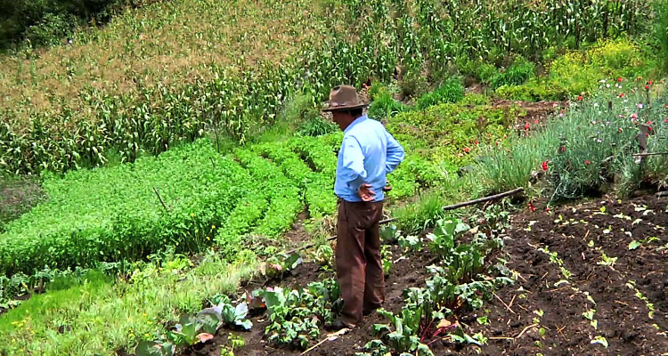 Agro-Ecologie - Terre Saine et Souveraine