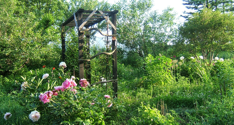 Permaculture ou le Jardin d'Eden