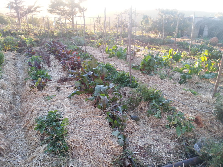 Permaculture Au Maroc - RIAM