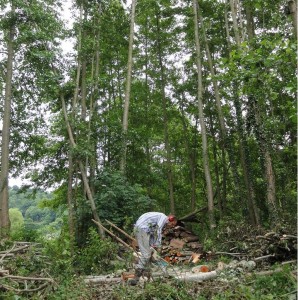 Studio D Permaculture Lieu