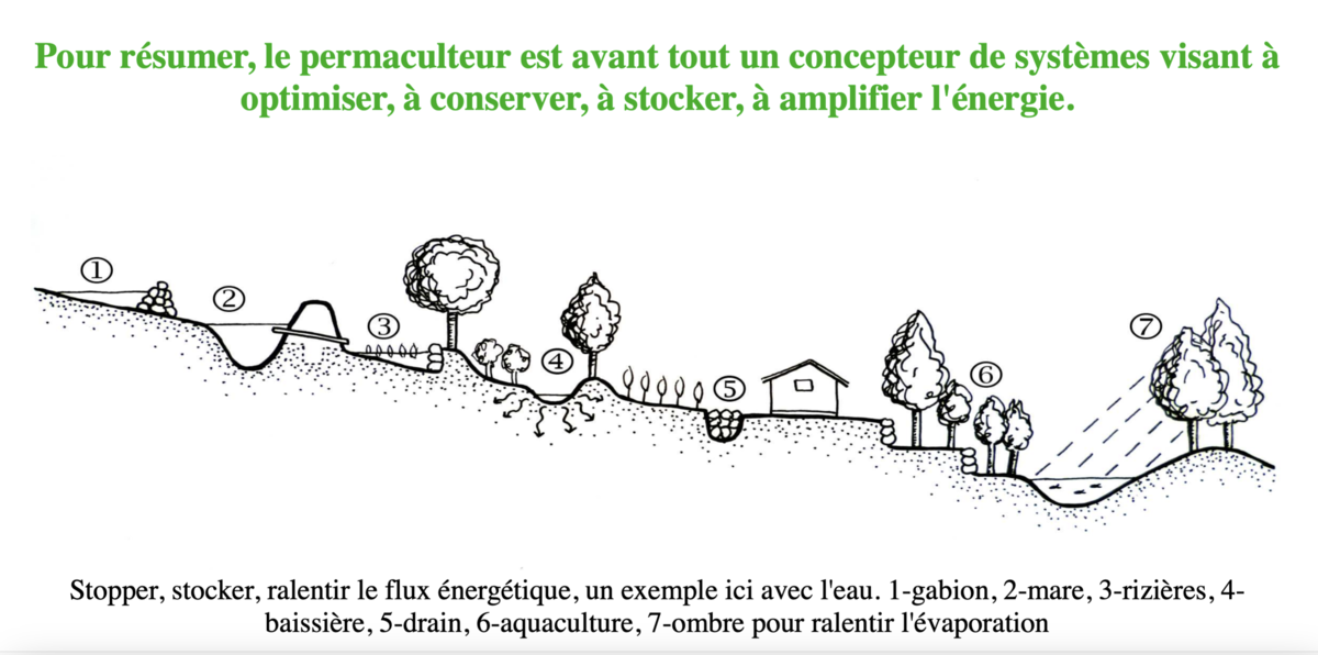 Guide du Permaculteur Débutant - PDF