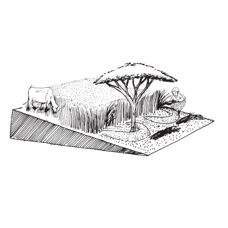 Gestion des Eaux Pluviales - Demi-Lunes