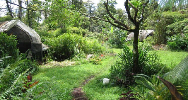 La Voie de la Permaculture