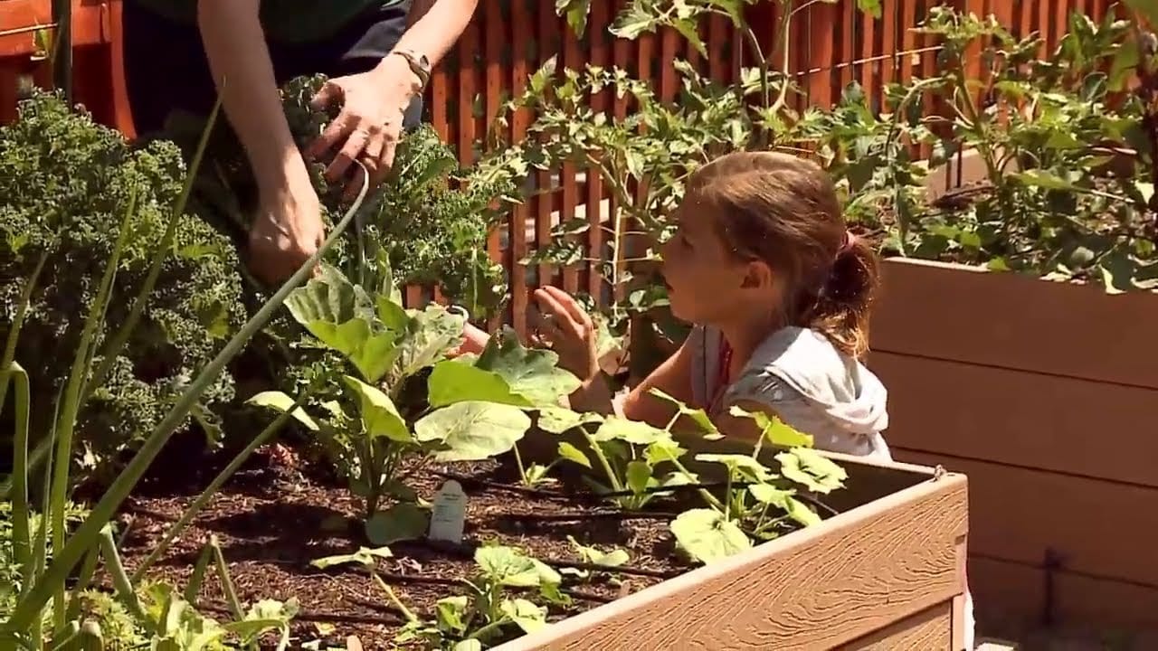 Mon Potager à Tout Prix