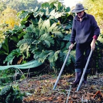 Yves Gillen - Le Jardin du Marais