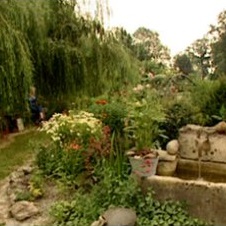 La Source de Vie