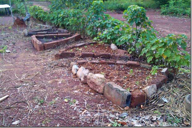 Mattkel Regenerative Permaculture Practice