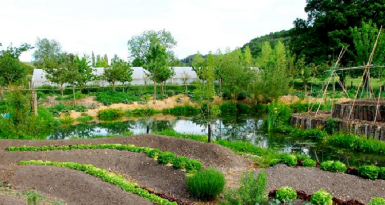 Série Permaculture - Par le Bec Hellouin