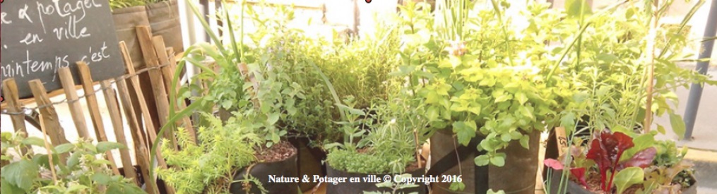 La Maison de l’Agricutlure Urbaine