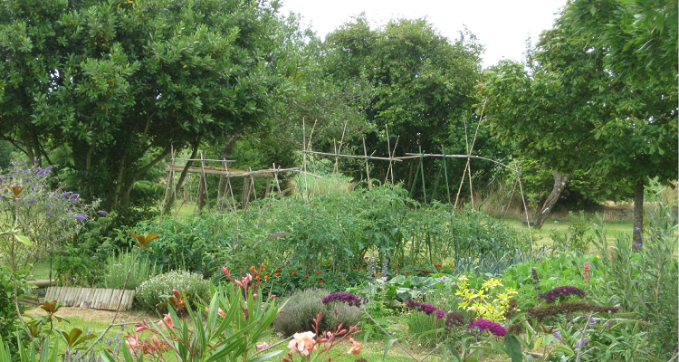 Potager Bio - 3 Ebooks PDF Gratuits