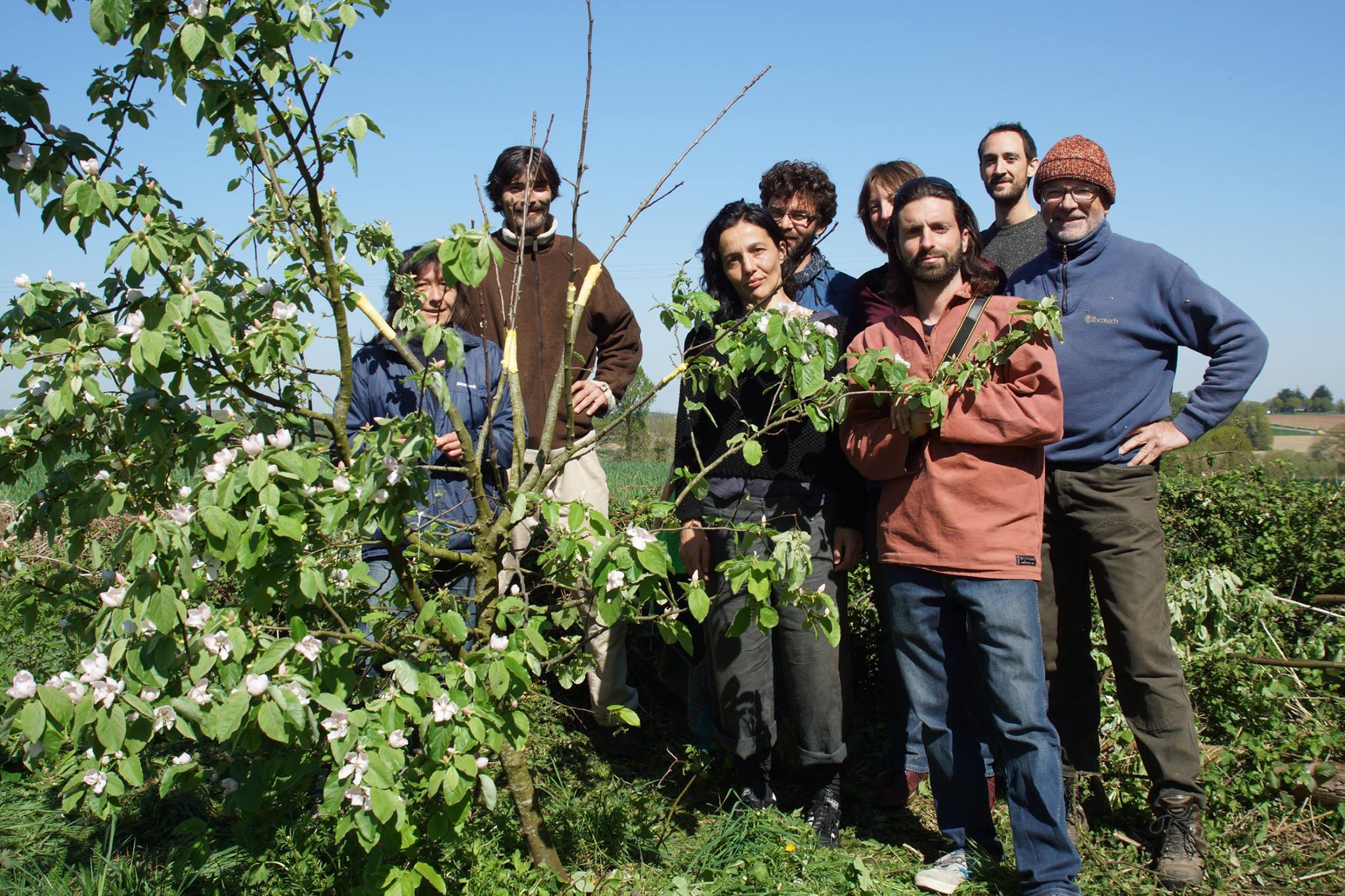 Conception de Haie Fruitière multi-étagée