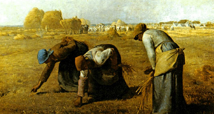 Redonner vie aux fruits abandonnés