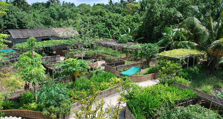 Permaculture - Nourrir une Famille de 4 Personnes
