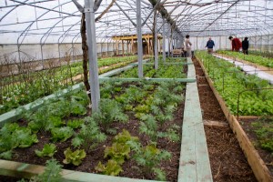 Cours de maraichage permaculture avec Charles Hervé Gruyer