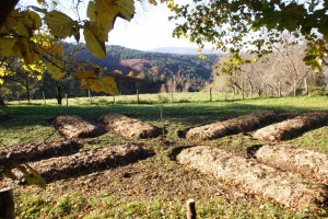 Jardin Mandala: des buttes orientées selon les directions cardinales