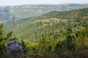 Lieu-dit Solpérière, dans les Cévennes