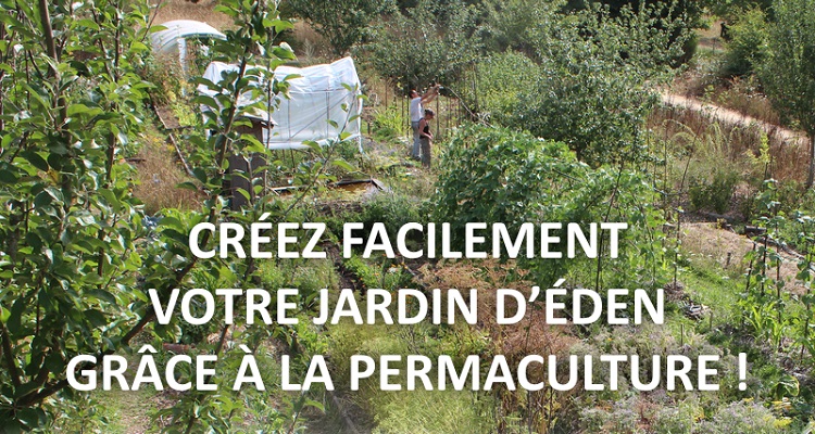 Obtenir facilement un jardin productif grâce à la Permaculture !