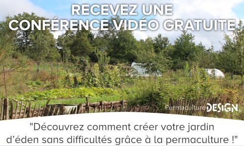 Permaculture Design