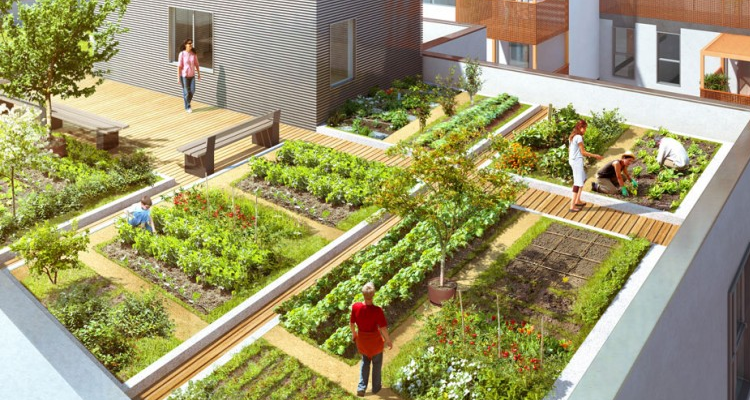 Terre de Monaco - Agriculture Urbaine
