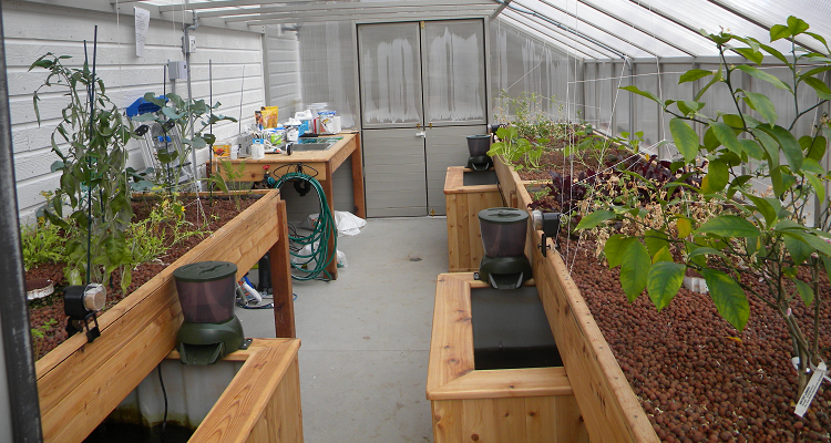 Aquaponie et Permaculture