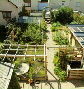 micro jardin 2
