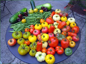 micro jardin 3