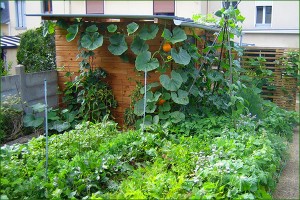 micro jardin 4