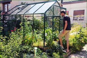 micro jardin 6