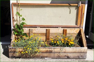 micro jardin 7