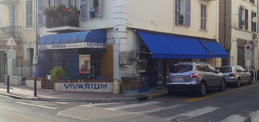 Vivarium - Animalerie à Cannes