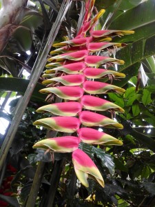 IMG_20160930_161844