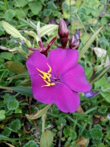 IMG_20161002_144220