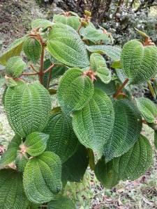IMG_20161002_145501