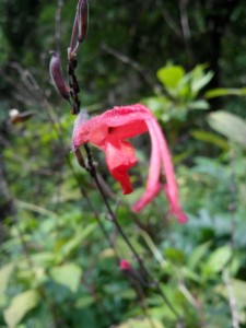 IMG_20161002_150000