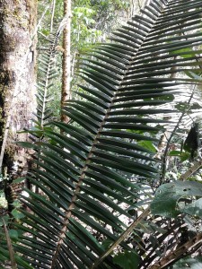 IMG_20161002_150609