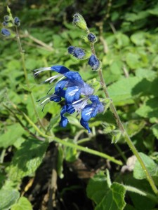 IMG_20161002_155029