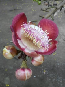 IMG_20161012_130628