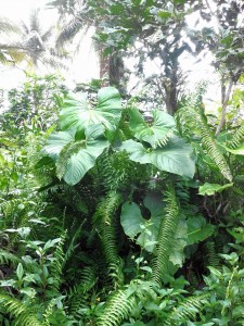 IMG_20161017_155719