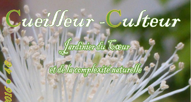 Cueilleur-Culteur N°1