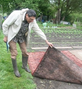 Le Potager Bio de Muller - Tapis