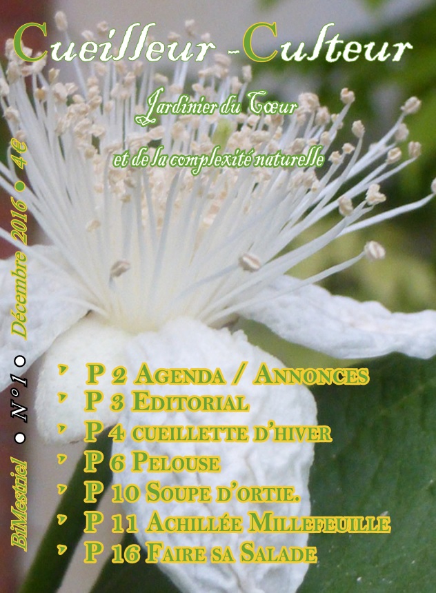Magazine Cueilleur Culteur 1
