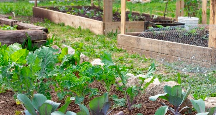 Agriculture Naturelle - Documents PDF