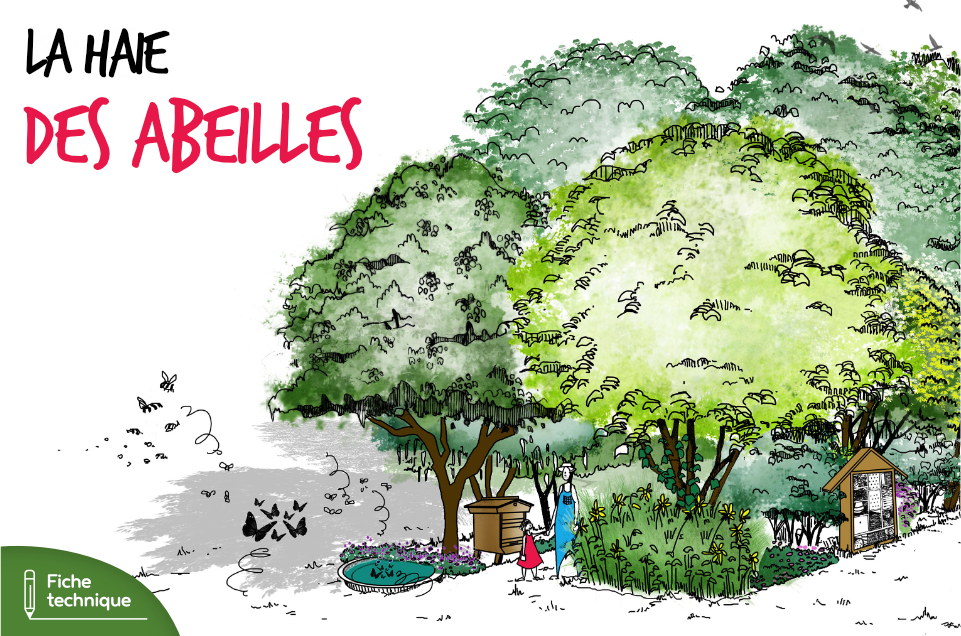 La Haie des Abeilles - Fiche technique