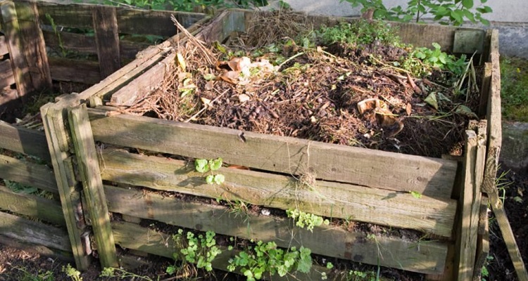 Le Compost - PDFs et autres Documents